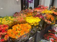 -溪岸路花鸟市场