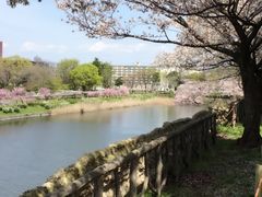 -热田神宫