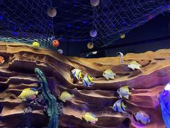 -芜湖新华联大白鲸海洋公园