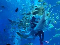 -太平洋海底世界