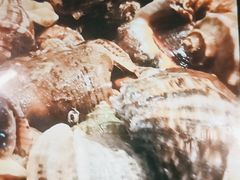 -渔公码头海货全海鲜自助(海滨旅游路店)
