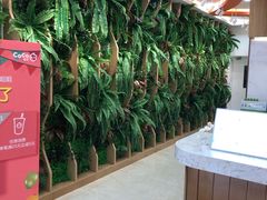 -CoCo都可(北京西站北广场店)