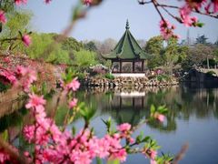 -无锡蠡湖国家湿地公园-蠡园