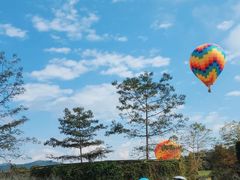 -中国科学院西双版纳热带植物园