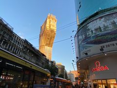 -黄枝记(议事亭前地店)