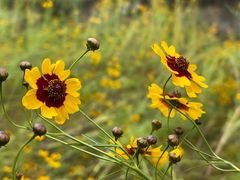 -华蓥山天意谷景区