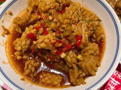 -壹盏灯(惠农店)