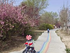 -太阳宫公园
