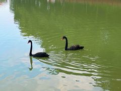 -广州白江湖森林公园