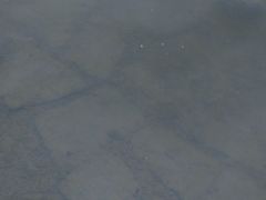 -美兰湖景区