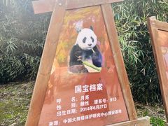 -扬州市茱萸湾风景区