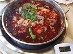 -蜀滋香鲜鱼美蛙火锅(339店)