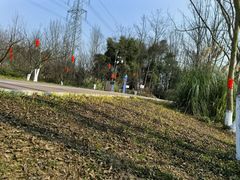 -桤木河湿地公园