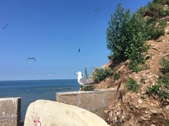 -海驴岛(荣成市)