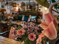 -六月花园咖啡馆(中关村东路店)