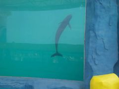 -北戴河圣蓝海洋公园