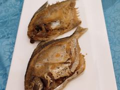 -御唐府海珊瑚主题餐厅