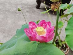 -道教老君洞