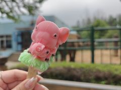 -秦皇岛野生动物园