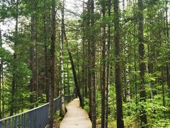 -峡谷浮石林景区