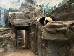 -鄂尔多斯野生动物园