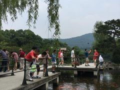 -西湖外事游船(花港观鱼码头)