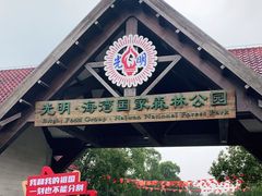 -上海海湾国家森林公园