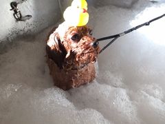 -PETKIT小佩宠物(古北店)
