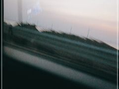 -南大港湿地风景区