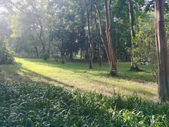 -莲花山公园