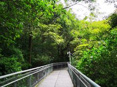 -佛山华盖山公园