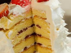 -卡吉诺动物奶油生日蛋糕(中原路店)
