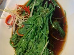 -初蓉丨遇见新川菜(亲贤街荣耀店)