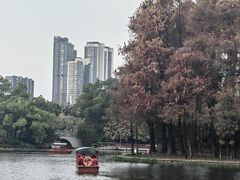 -荔湾湖公园