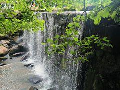 -汤旺河林海奇石景区