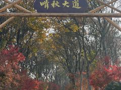 -凤凰沟景区