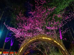 -二荆条·蜀鲜汇城市森林火锅