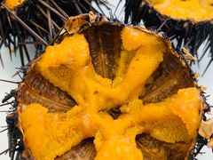 -海胆小馆(东北水饺·春柳店)