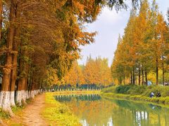 -升仙湖公园