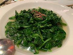 上汤浸豆苗-8餐厅(新葡京酒店)