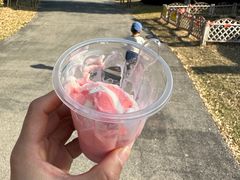 -菊园百果园