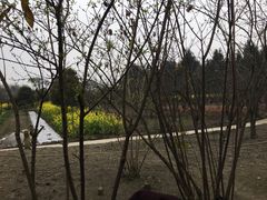 -宣兔头(马家场店)