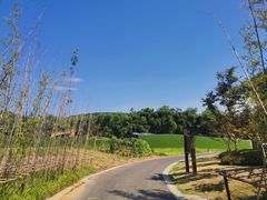 -南京市无想山景区