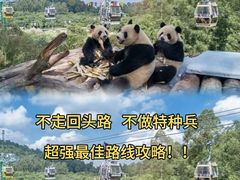 -广州长隆野生动物世界