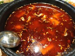 -香坝坝鲜鱼火锅(春熙路店)