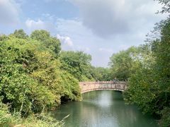 -西溪国家湿地公园