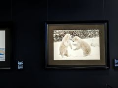 -罗红摄影艺术馆