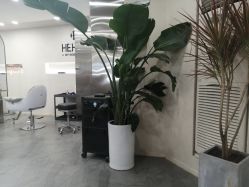 -DX HAIR SALON·发现未知美发沙龙