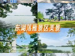 -东湖落雁景区
