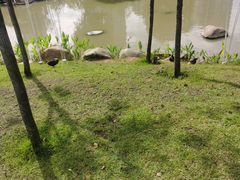 -牛岗山公园